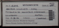 Image Associated With the Occurence